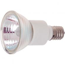 Flood Bulbs