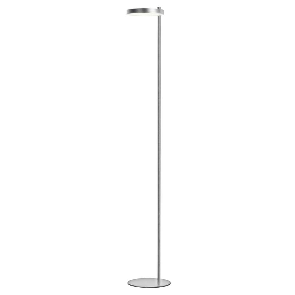 30W Floor Lamp, SC