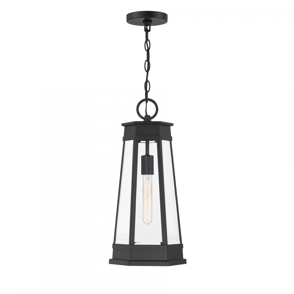 Payne 1-Light Outdoor Hanging Lantern in Matte Black