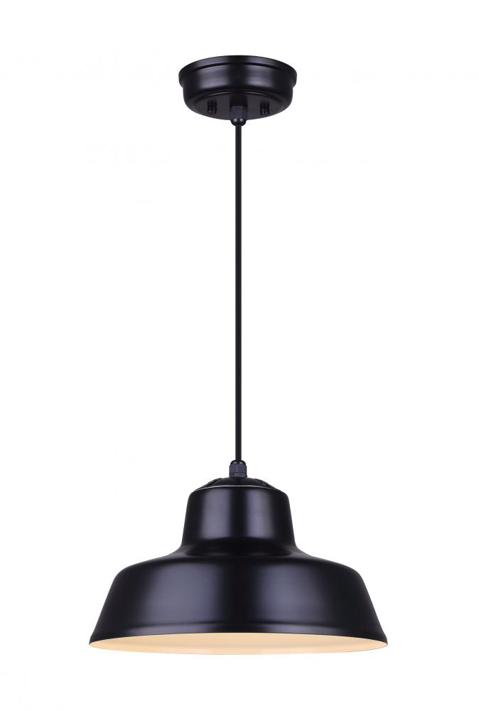 Levi 1 Light Pendant, Black Finish