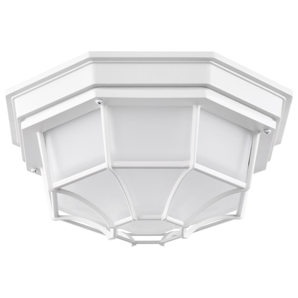 LED Spider Cage Fixture; White Finish with Frosted Glass